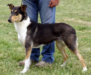 Mighty's Spring Meadow Dewy Fay