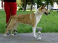 Vrh F - F Litter
